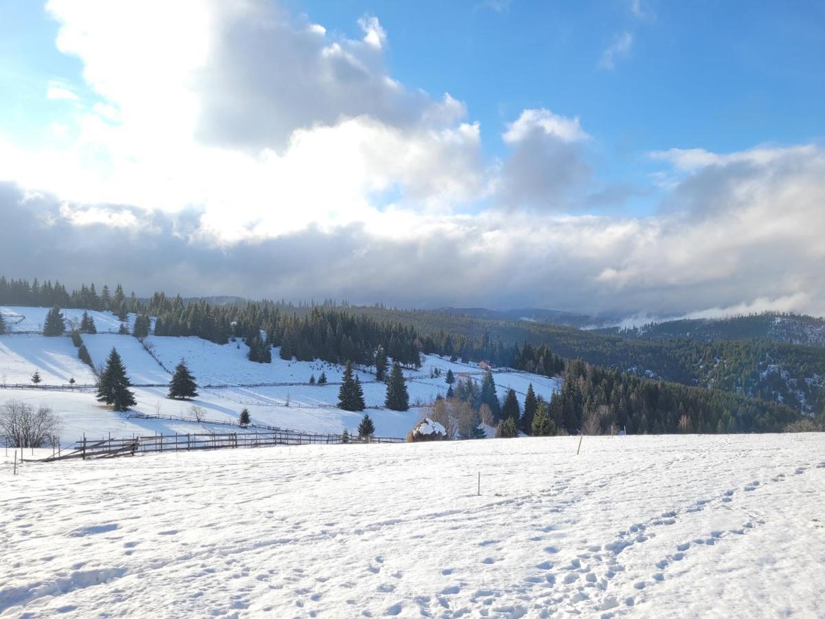 Casuta De Vacanta Marisel, Cluj Εξωτερικό φωτογραφία