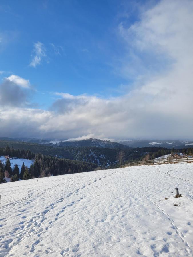 Casuta De Vacanta Marisel, Cluj Εξωτερικό φωτογραφία